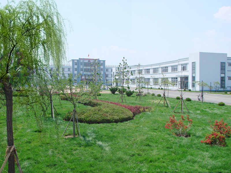 歡樂奧龍人，激昂青春夢(mèng)